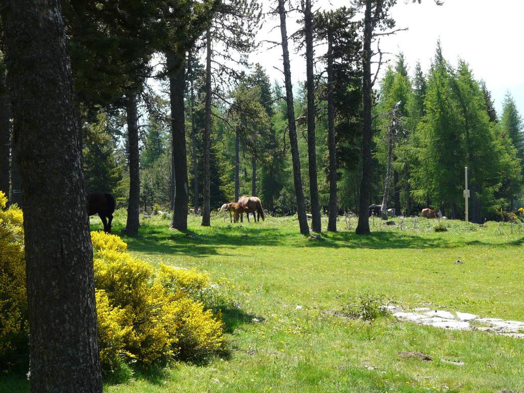 Ferienwohnung Font Romeu Via Zimmer foto